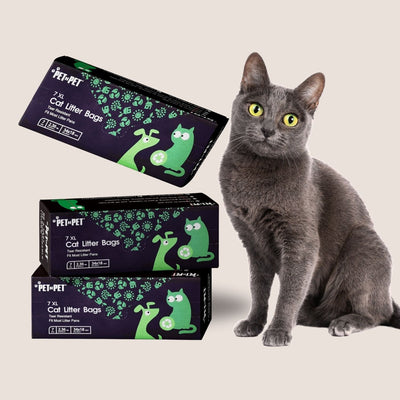Gray cat sitting next to boxes of Pet-Pet cat litter bags on a light background